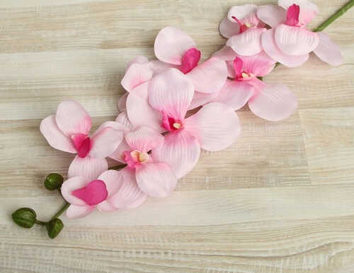 Цветы искусственные "Орхидея Сандера" 90 см, розовая