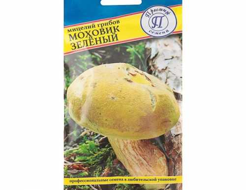 Мицелий грибов Моховик зелёный, 60 мл