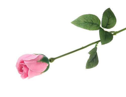 Мыльные лепестки "Роскошная роза", цвет розовый